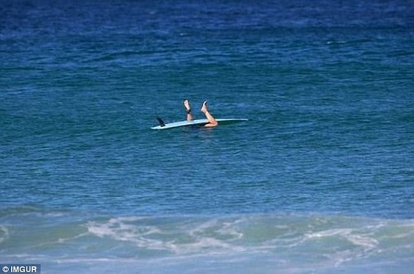 13. Его явно больше интересует то, что ПОД серфом, а не НАД ним