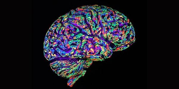 Özetle beyin, gerçekten büyüleyici bir organ.