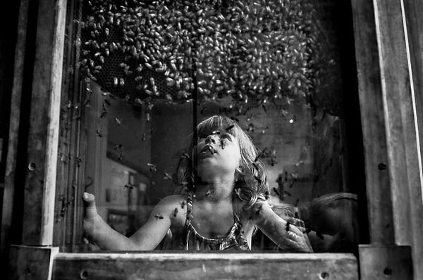 3. Категория "Уличная фотография" - 1 место