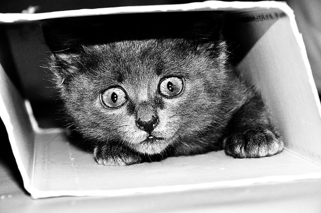 5 лучших статей с onedio.ru за четверг!