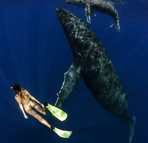 8. Будем честны, очень сложно не позавидовать 22-летней студентке и ее приключениям!