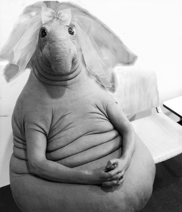 БОНУС с Пикабу