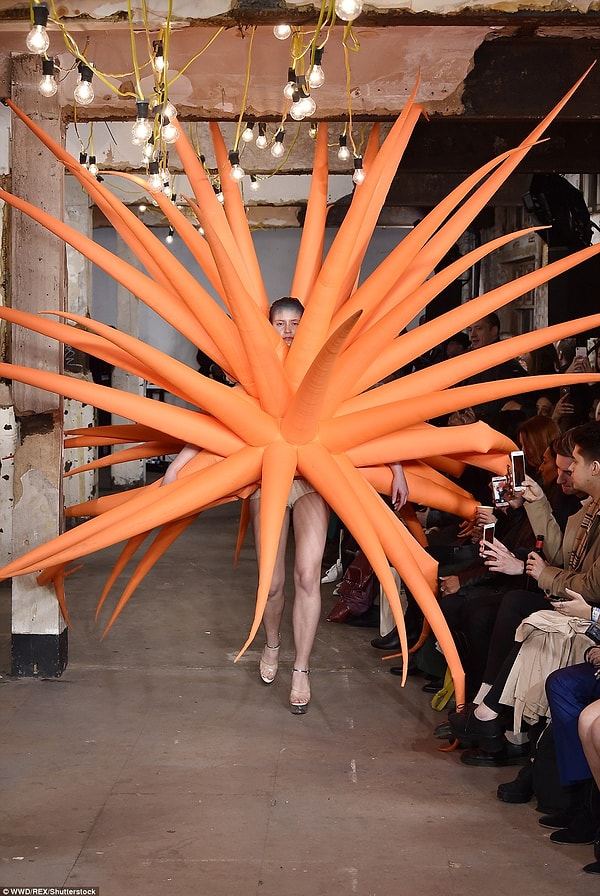 И что-то оранжевое, напоминающее осьминога...