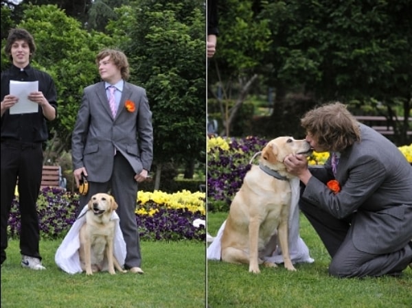 20. В Индии юридически возможен брак с собакой