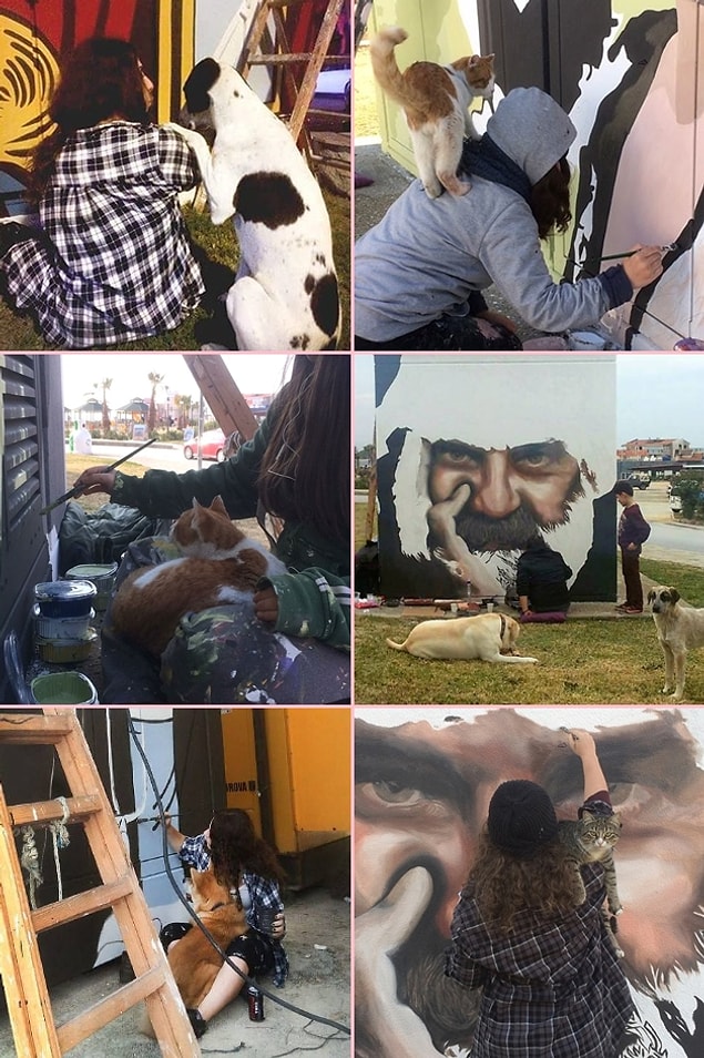 Tabii bir de kediler ve köpekler... 🐕🐈