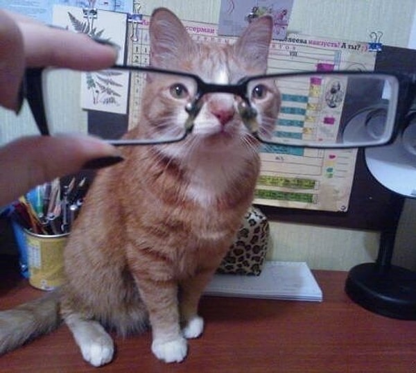 6. Иногда всё зависит от линз, сквозь которые вы смотрите на мир.