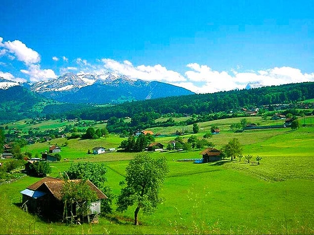 Artvin!