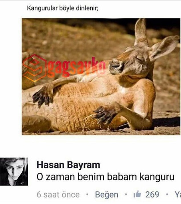 3. Her baba bir kangrudur