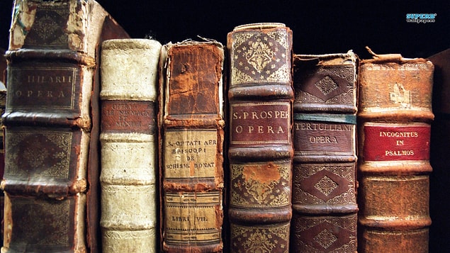 Sen tam bir kitap kurdusun!