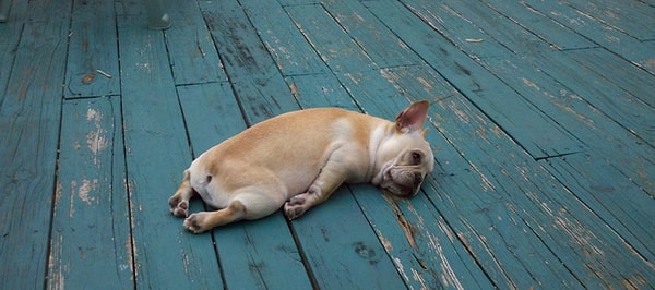 10. Если вы легли отдохнуть, то уже ни за что не встанете