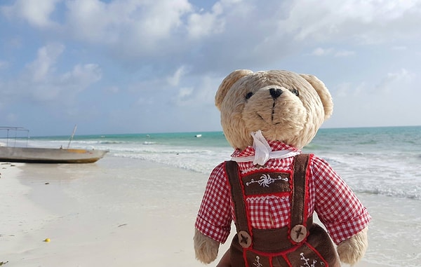 В Танзании я понял, что такое Африка - океан, дикие животные и дикая природа...