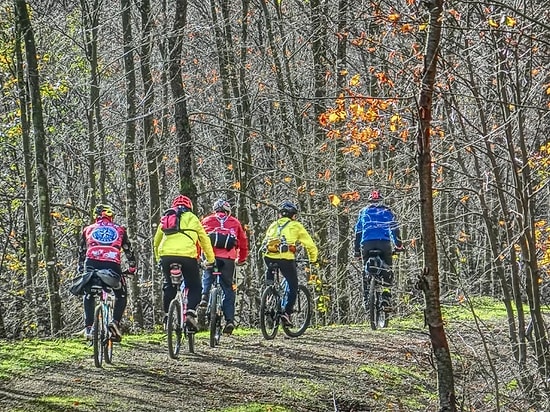 Dağ Bisikleti ile Doğada Pedal Çevirmenin Size Sağlayacağı 10 Fayda
