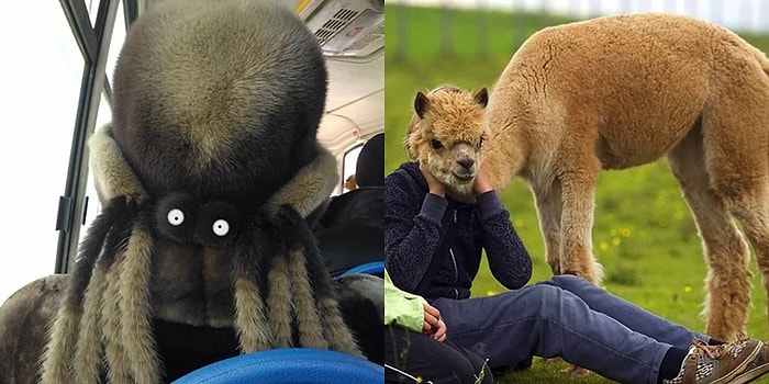 Görünce Kısa Süreli Şaşkınlık Yaşayacağınız, Aşırı Dozda Göz Yamışması İçeren 19 Fotoğraf