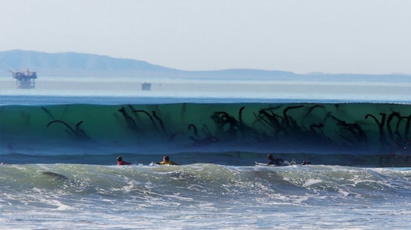 9. Ааааа!!! Берегитесь! Это же атака тентаклей!