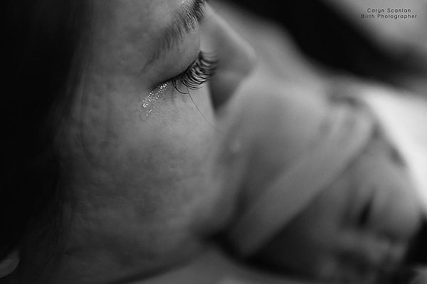 12. Конец: новое начало