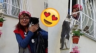 Hava Soğuduğunda Evine Rahatça Girebilsinler Diye Sokak Kedilerine Merdiven Yapan Kadın