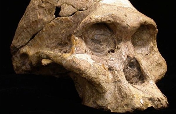 10. Женщины подвергались несправедливому отношению к себе с начала времен.