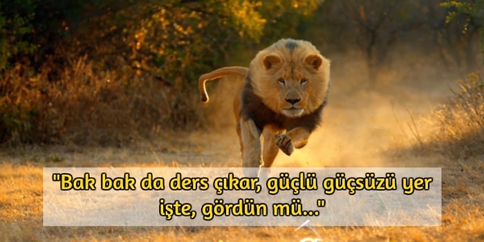 Ailecek Belgesel İzlerken Muhakkak Duyacağınız 13 Cümle