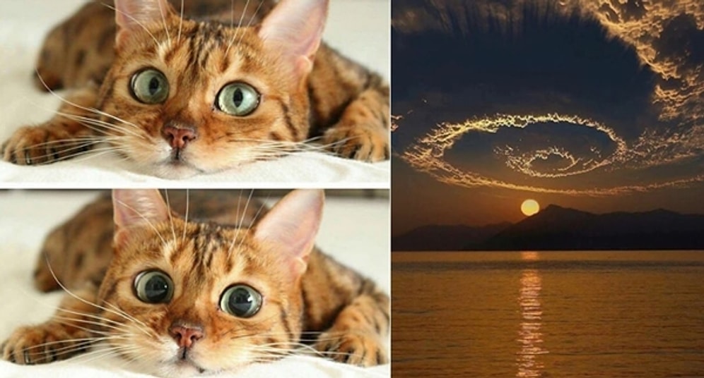 Onedio Instagram Hesabı İftiharla Sunar! Şubat Ayının En Çok Beğenilen 28 Paylaşımı