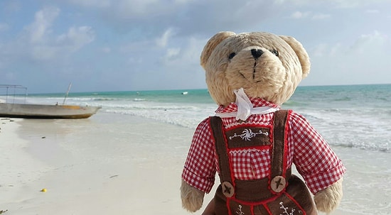 Медвежонок, проехавший 60 стран: Мистер Кул и его история