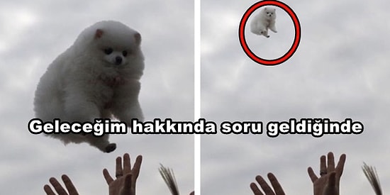 Yabancılara Kilometrelerce Öteden Empati Kurabileceğiniz Hayatın İçinden 23 Tweet