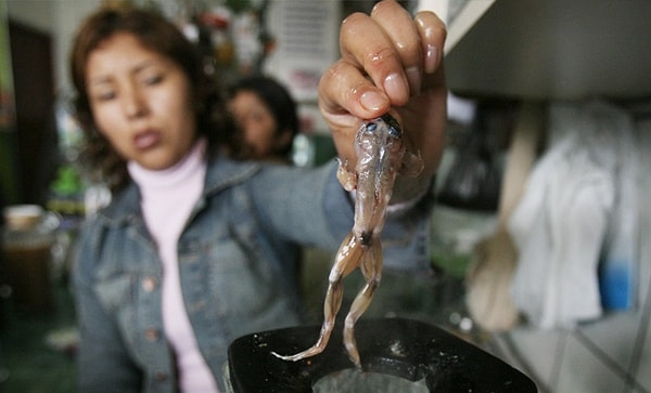 6. Традиционным напитком в Перу является коктейль, один из ингредиентов которого... лягушка без кожи!