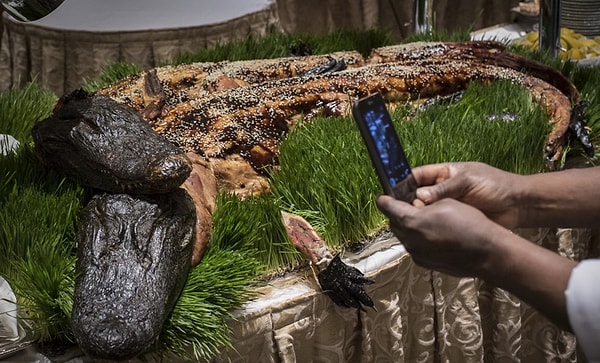 7. Для ежегодного ужина Клуба исследователей готовят множество различных деликатесов. На последнем мероприятии, прошедшем в Нью-Йорке, главным блюдом меню были аллигаторы, приготовленные целиком