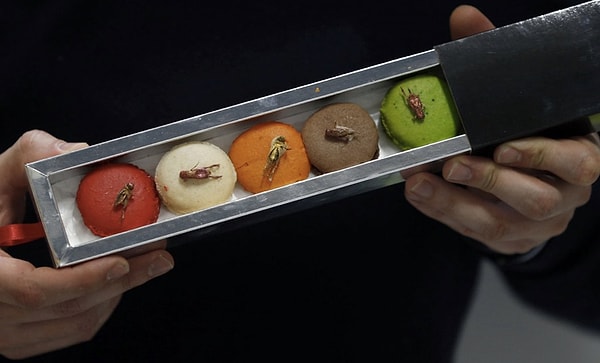 8. А как вам макаруны, начиненные насекомыми? И делают такие не где-то, а в Европе! Дело в том, что в компании Micronutris полагают, что через несколько лет насекомые станут главным источником белка, поэтому в свои сладости они добавляют обезвоженных сверчков, личинки, мучных червей и прочих насекомых