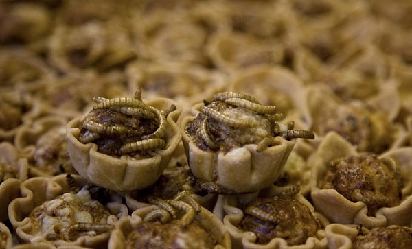 9. Уже сейчас ученые решили начать подготавливать мир к дефициту продуктов в будущем. Чтобы настроить людей морально, некоторые компании стали выпускать вот такие пирожные с заварным кремом и личинками червяков