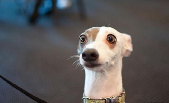 5 лучших статей с onedio.ru за среду!