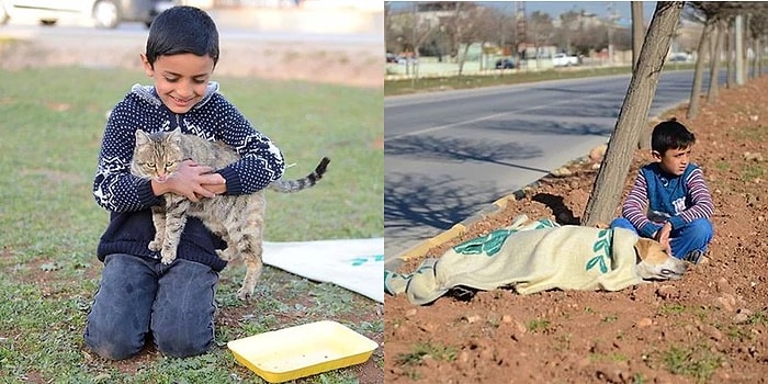 Yaralı Sokak Köpeğini Yardım Gelene Kadar Bırakmak İstemeyen Suriyeli Minik Çocuk