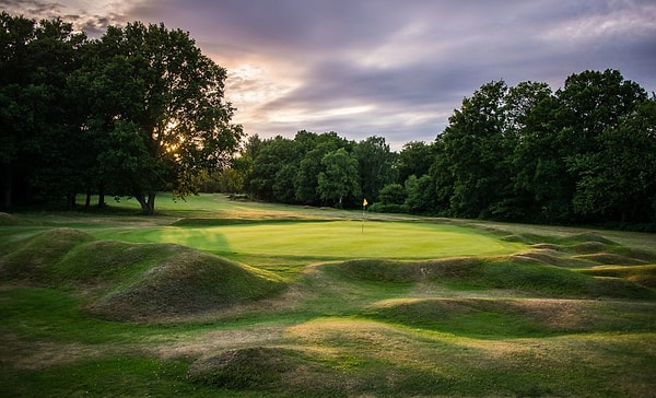 7. Güzel ve Çirkin filminin çekimlerinin bir kısmı, daha önce de birçok ünlü filmin -"Harry Potter" gibi- çekimlerinin yapıldığı Berkhamsted Golf Kulübü sahalarına bitişik bir alanda yapıldı.