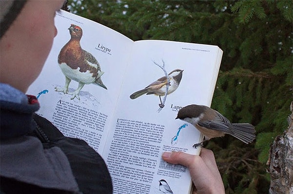 3. "Что это ты там читаешь?"