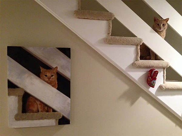 8. Сначала я подумал, что тут два кота