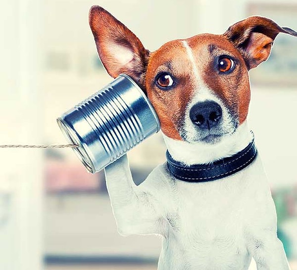 18. Пусть говорят