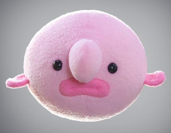 4. Чмокнули бы вы эту рыбу-каплю в щечку?