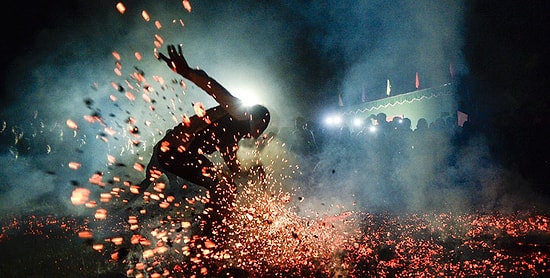 Лучшие работы фотоконкурса Smithsonian Photo Contest 2016