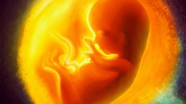 2. Hamile bir anne hamileliği esnasında organ hasarı geçirirse, fetüs, hasarı gidermek için kök hücre gönderebilir.