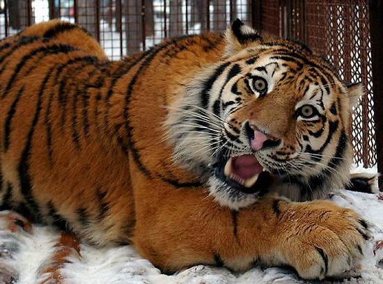 5 лучших статей с onedio.ru за пятницу!