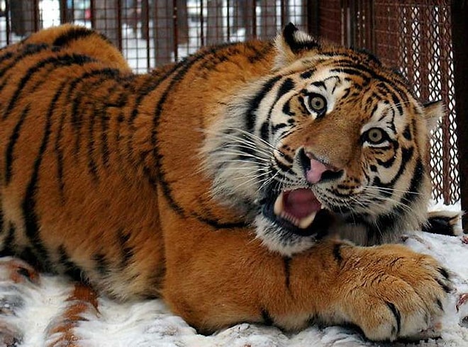 5 лучших статей с onedio.ru за пятницу!