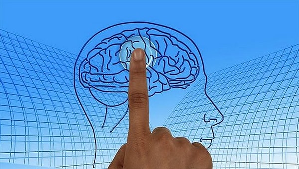 15. Люди используют только 10% своего мозга