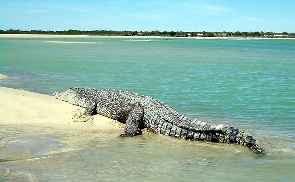 10. Cable Beach (Австралия)