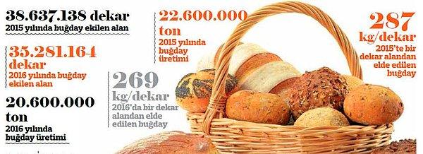 Türkiye'de yılda yaklaşık 20 milyon tonluk buğday üretiminin yapılıyor.
