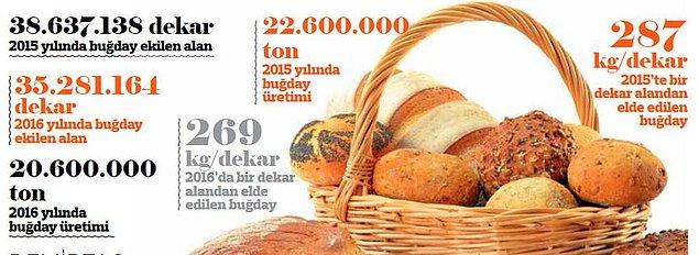 Türkiye'de yılda yaklaşık 20 milyon tonluk buğday üretiminin yapılıyor.
