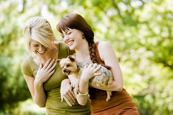 12. Вы нуждаетесь в товариществе!