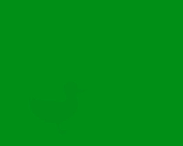 3. Какое животное спрятано в этом зеленом квадрате?