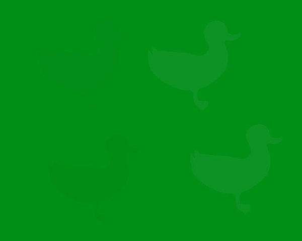 4. Идем дальше. Сколько уток, как вам кажется, спрятано тут?