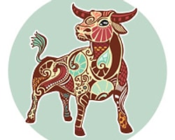 Boğa