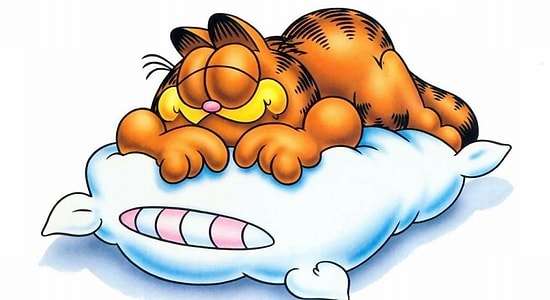 10 причин, почему сон является самой важной частью нашей жизни