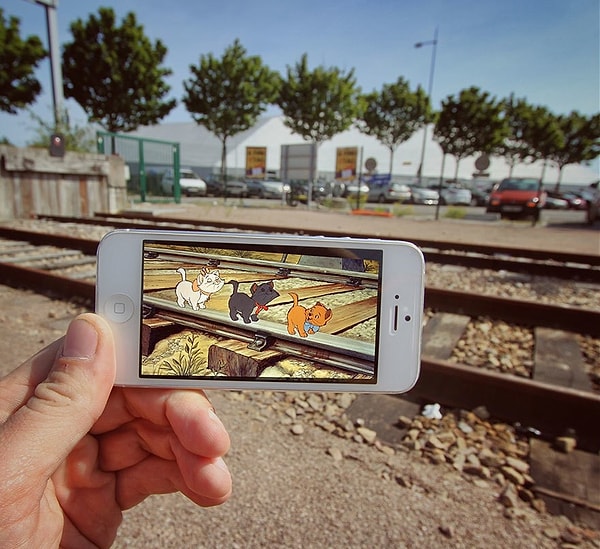 4. Коты Аристократы